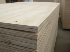 努力于为室第拆修、贸易空间、公共建建等各类